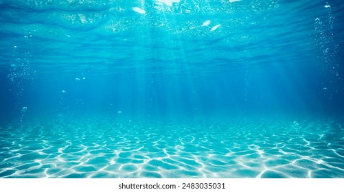 esball世博盛会：科技与文化交融的精彩瞬间