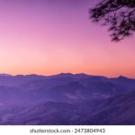 esball的魅力:揭示其在电竞行业中的重要性 f6zu9u0