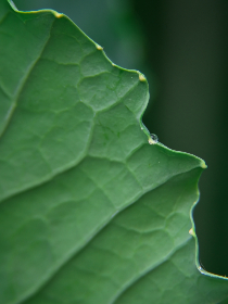 fun88乐天堂娱乐:畅享多样化游戏选择与丰厚奖金