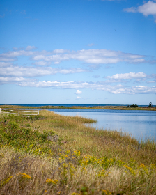 ng体育下载：让你随时随地掌握最新体育动态