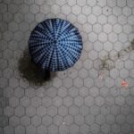 356开奖前后出号规律深度解析与预测 1w5u6qro1