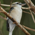 14场开奖结果揭晓:胜负彩最新中奖号码公布 95y7m4cx