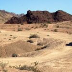 14场胜负彩第29期开奖结果揭晓 aeqq4zxuif