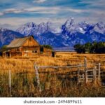 15096期最新开奖结果查询与中奖号码公布 bla3tb