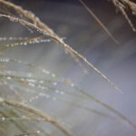 149期开奖结果震撼揭晓,幸运号码花落谁家? guyjynm0