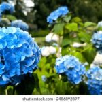 35彩票最新开奖结果查询与历史中奖号码汇总 kqbyj