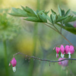 14号开奖倒计时,幸运大奖花落谁家? xwr84i6lby